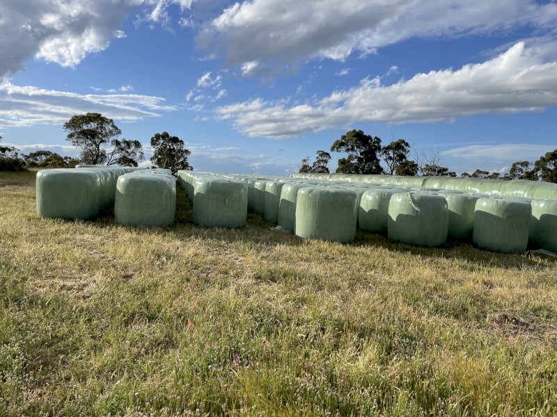 Silage Rounds - EOI for 2023 fodder crop