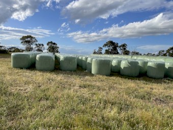 Silage Rounds - EOI for 2023 fodder crop