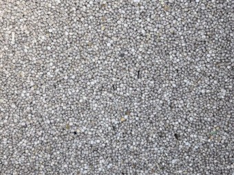 2022/23 Narrow leaf lupins