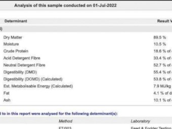 100t Vetch hay 20/21