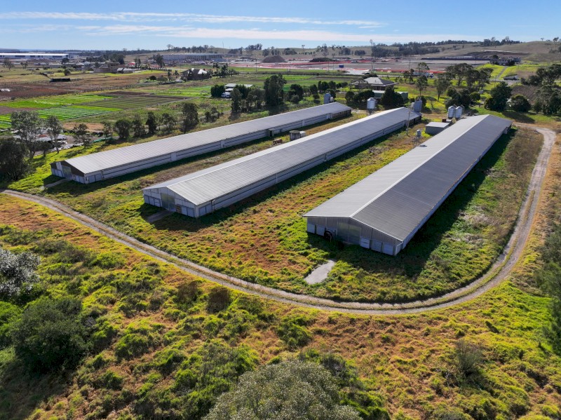 Farming Chicken Sheds | Farm Tender