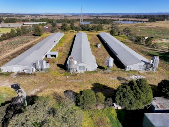 Farming Chicken Sheds
