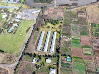 Farming Chicken Sheds