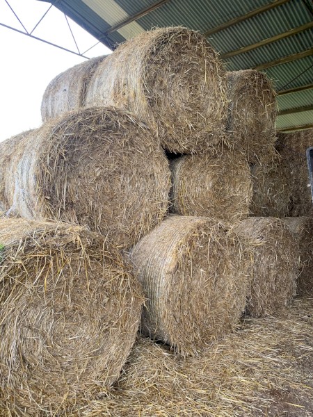 Wheaten Oaten Hay Round 5x4 420 kgs 