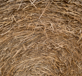 Wheaten Oaten Hay Round 5x4 420 kgs 