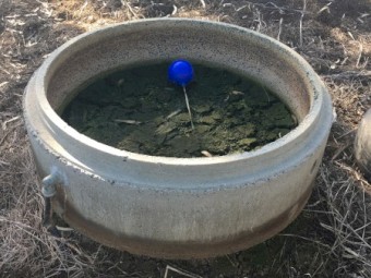 Concrete water troughs