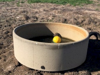 Concrete water troughs