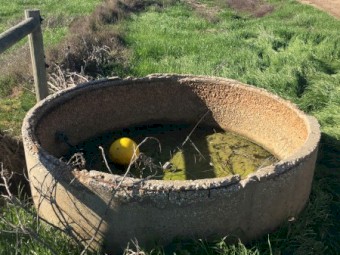 Concrete water troughs