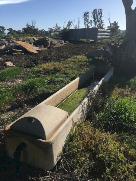 Concrete water trough