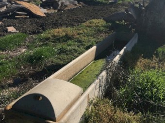 Concrete water trough
