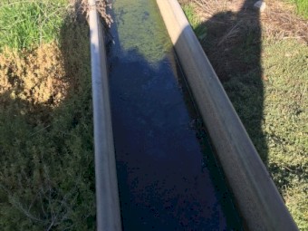 Concrete water trough