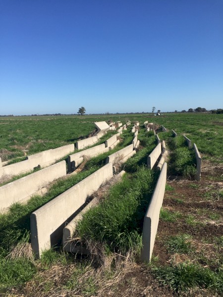 Concrete feed troughs