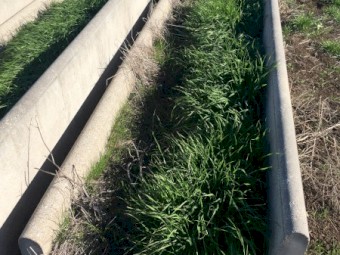 Concrete feed troughs