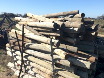 Pine posts