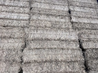 500mt Vetch Hay 8x4x3 Bales