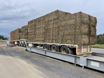 500mt Vetch Hay 8x4x3 Bales