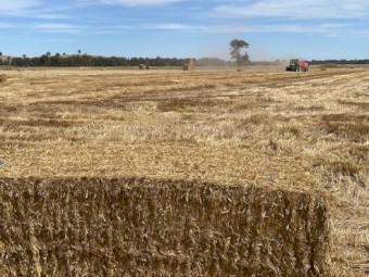 400mt Wheaten Straw 480kg 8x4x3 Bales