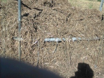 Soybean Silage Bales 19.3% protein