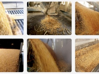 WANTED 600 Tonnes of Maize for Export