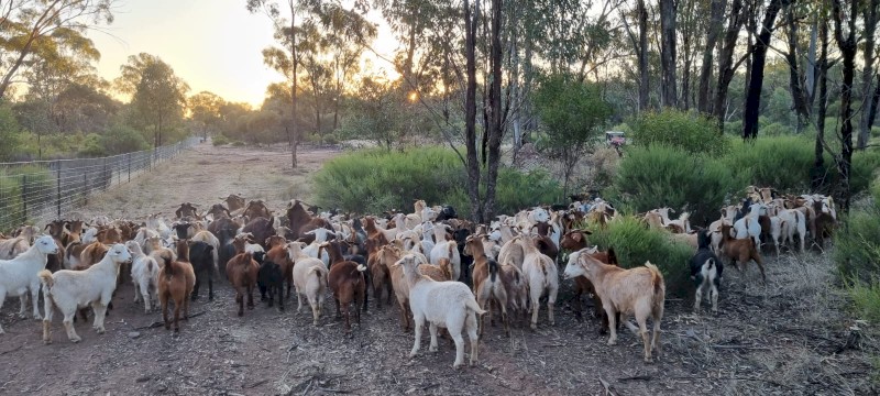 First X  Rangeland to Stud Kalahari with kids