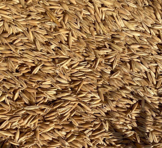 130mt Winteroo Oats
