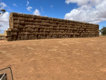 35mt Vetch Hay 580kg 8x4x3 Bales