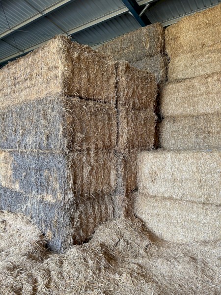 30mt Windrowed Wheaten Straw 8x4x3 Bales