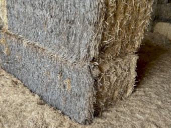 30mt Windrowed Wheaten Straw 8x4x3 Bales
