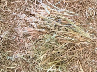 100mt Oaten Hay 600kg 8x4x3 Bales