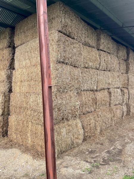 120mt Vetch Hay 565kg 8x4x3 Bales