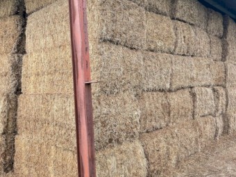 120mt Vetch Hay 565kg 8x4x3 Bales