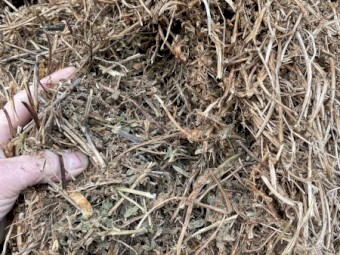 120mt Vetch Hay 565kg 8x4x3 Bales
