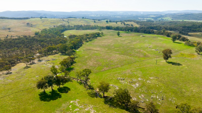 Beechworth, Beef Farm, Beautiful Home Sites