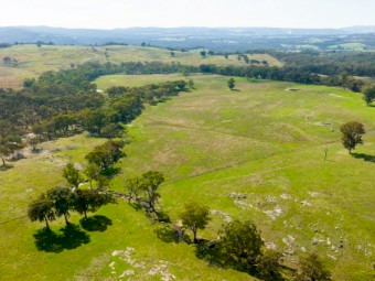 Beechworth, Beef Farm, Beautiful Home Sites