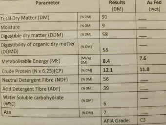 Phalaris/Rye/Clover Hay 8x4x3 Bales