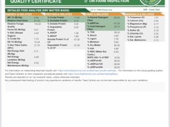 Barley & Vetch Hay 2022