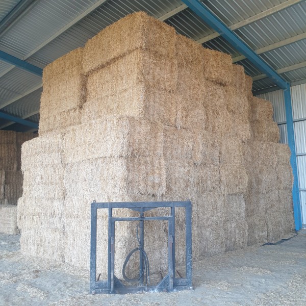 Medic hay stored in shed