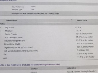 Medic hay stored in shed
