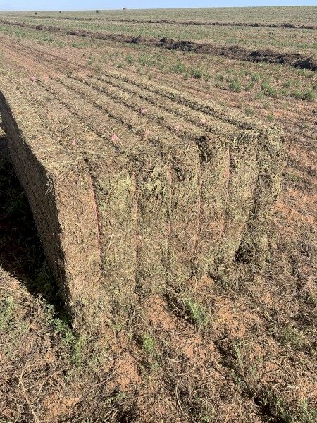 2020 Vetch Hay Farm Tender