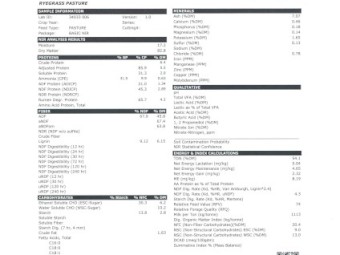 2022 Season Rye Grass Hay, 230 Square Bales 3 x 3 x 8, approx 350kg per bale or 80 Tonne,  