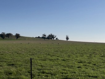 WANTED House and Land to buy or lease