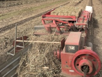 WANTED Massy Ferguson 12 Small Square Bailer