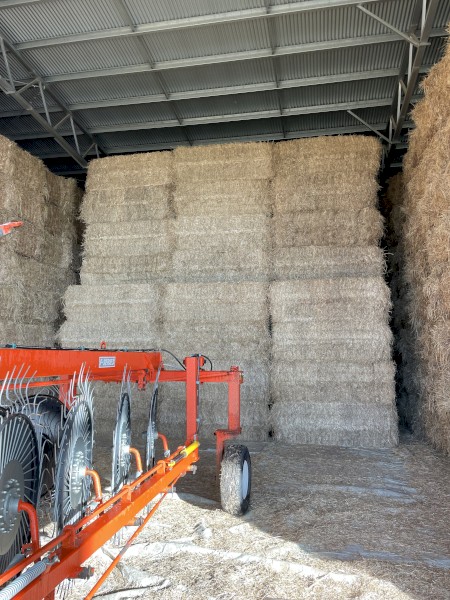 150mt Rye/Canola Hay 8x4x3 Bales