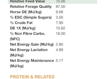 150mt Rye/Canola Hay 8x4x3 Bales