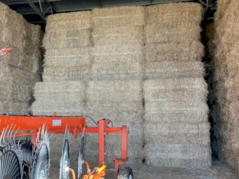 150mt Rye/Canola Hay 8x4x3 Bales