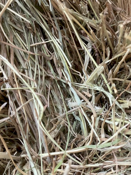 120mt Pasture Hay 8x4x3 Bales