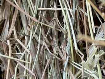 120mt Pasture Hay 8x4x3 Bales