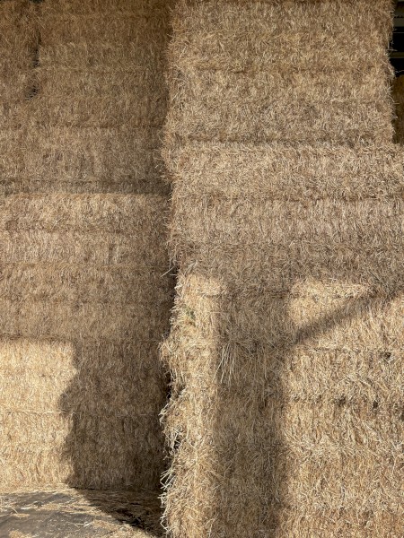 160mt Rye/Clover Hay 8x4x3 Bales