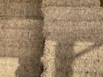 160mt Rye/Clover Hay 8x4x3 Bales