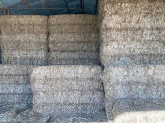 Vetch Hay 2021 Season